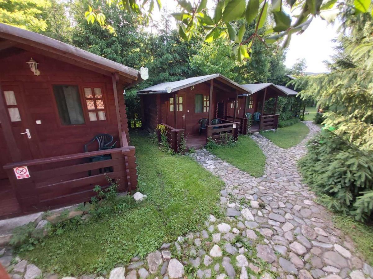 Bungalow Camping Edelweiss - Floare De Colt - Gyopar Rimetea Exterior photo