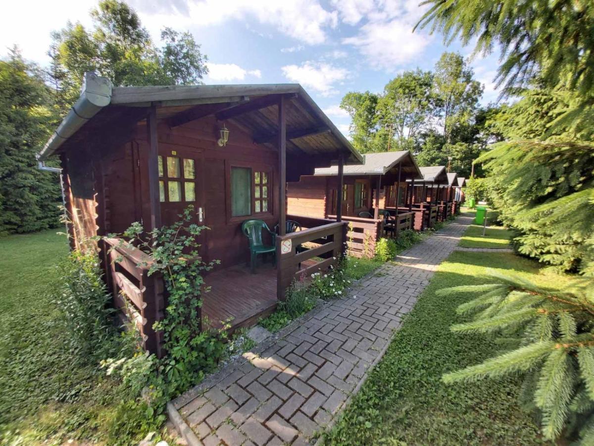 Bungalow Camping Edelweiss - Floare De Colt - Gyopar Rimetea Exterior photo