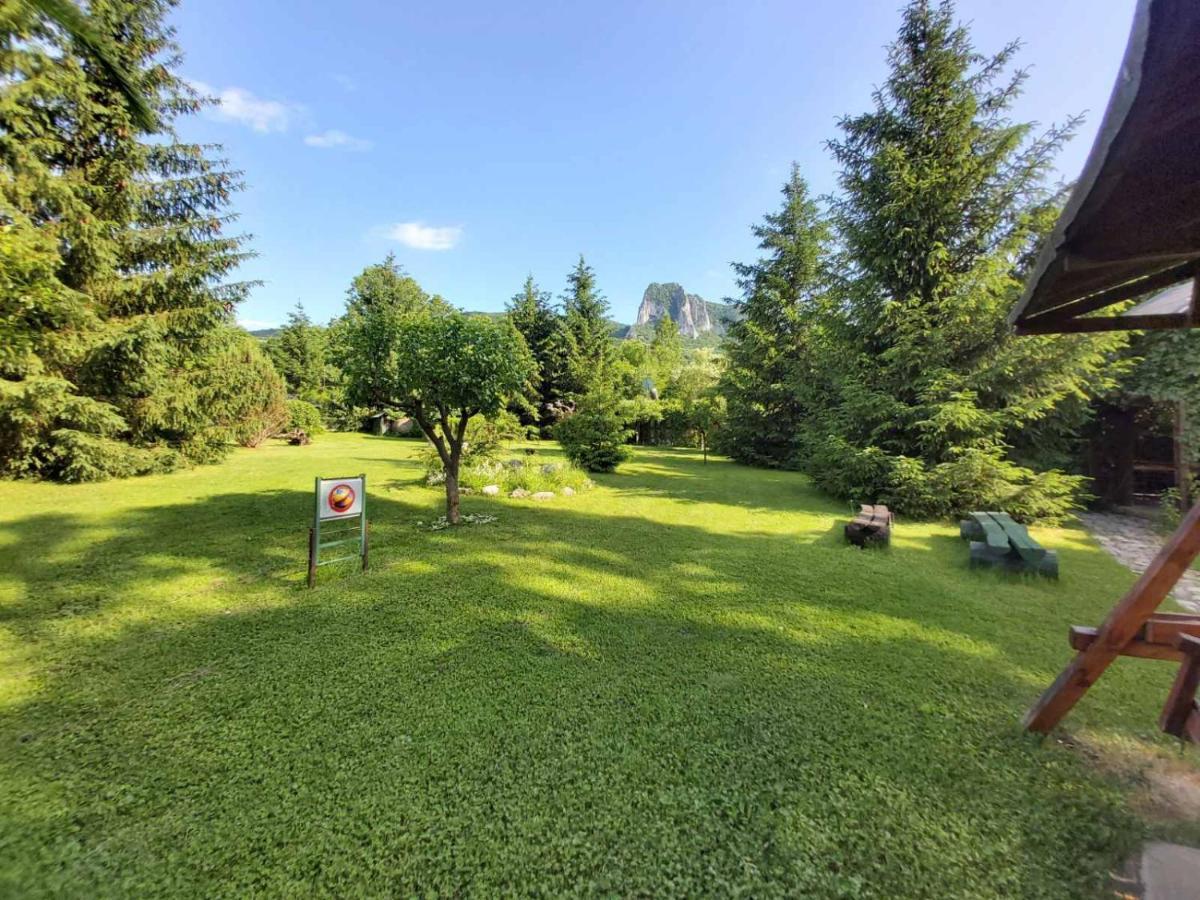 Bungalow Camping Edelweiss - Floare De Colt - Gyopar Rimetea Exterior photo